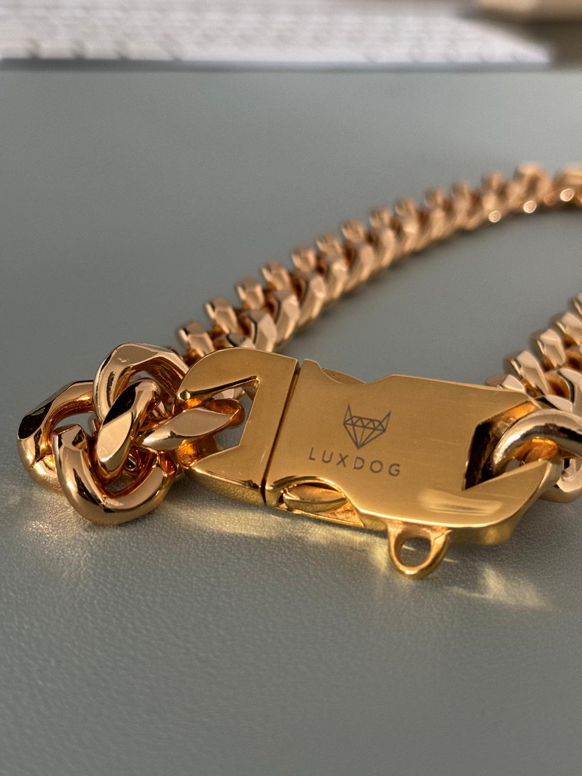 Lux Dog | Gold Halskette