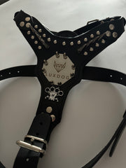 Luxdog fight Geschirr