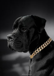 Ice out Cuban Edelstahl Hunde Halskette